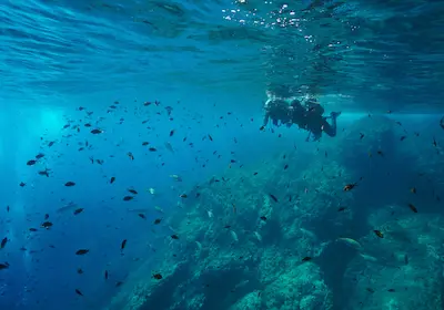 Snorkeling în golfuri — sejur charter Costa Brava