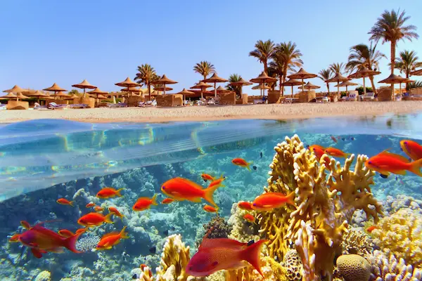 Ghid Hurghada — Recife de corali
