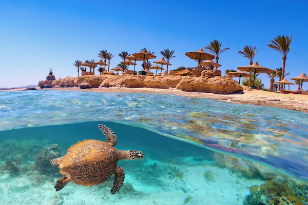 Vacanță charter Marsa Alam, Egipt – Destinația eco a Mării Roșii — ecosisteme marine protejate.